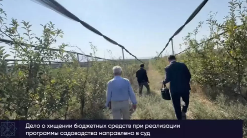 Громкое дело о яблоневых садах в Шымкенте дошло до суда