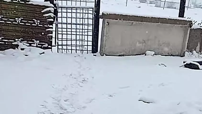 Семейде қалың қар жауды: өзге өңірлерде ауа райы қандай болады