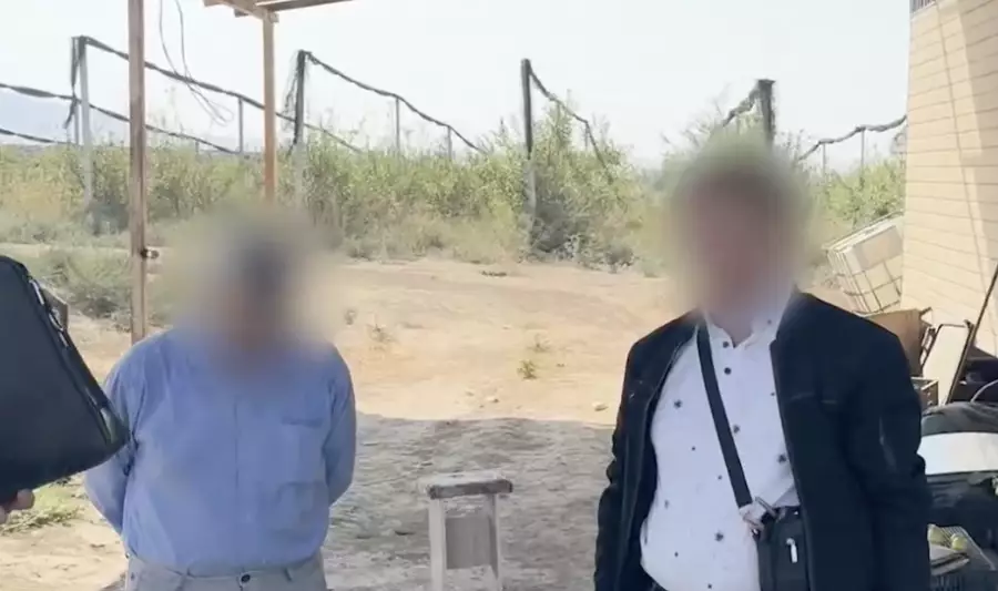 Шымкенттегі алма бақтарына қатысты қитұрқы схема: іс сотқа жетті