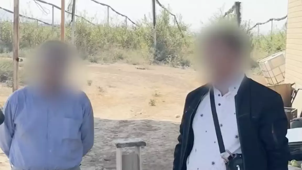 Шымкенттегі алма бақтарына қатысты атышулы іс сотқа жетті