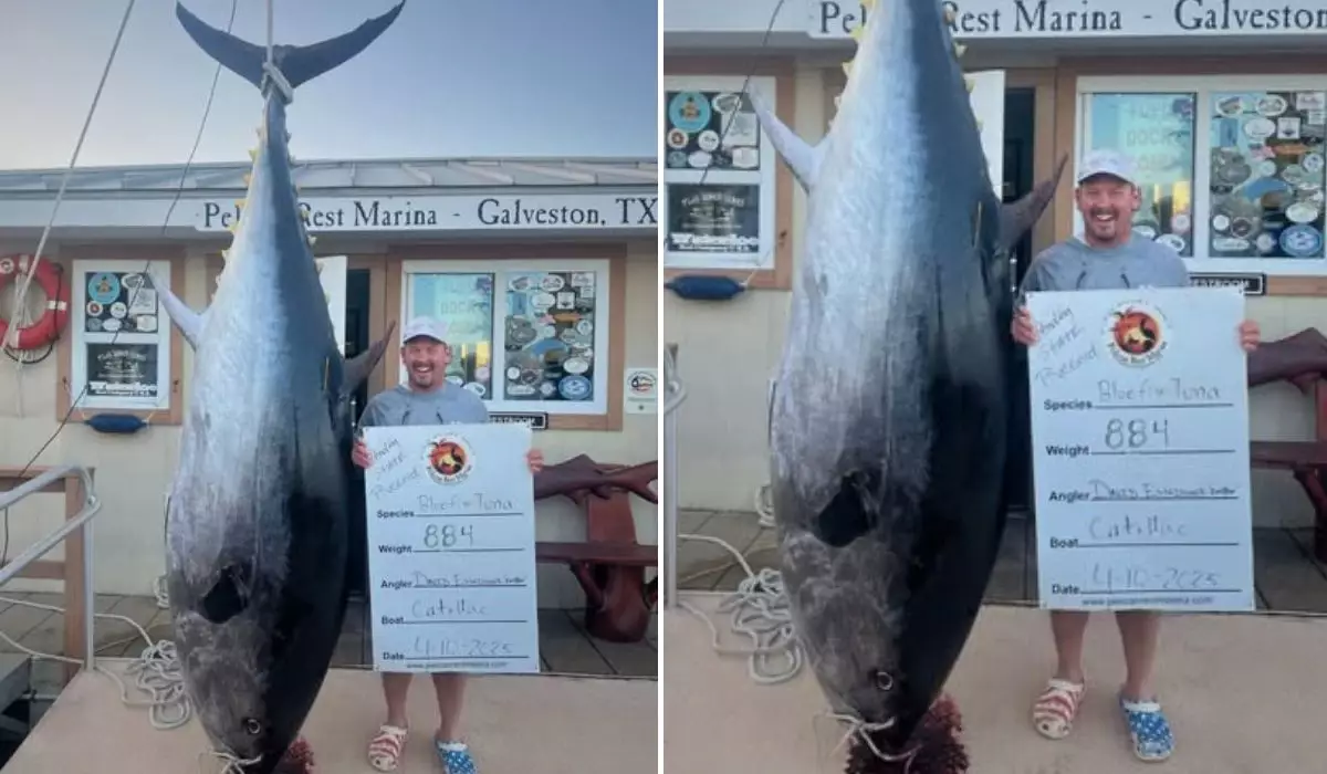 Балықшылар 400 келілік балықпен бес сағат айқасып, рекорд орнатты