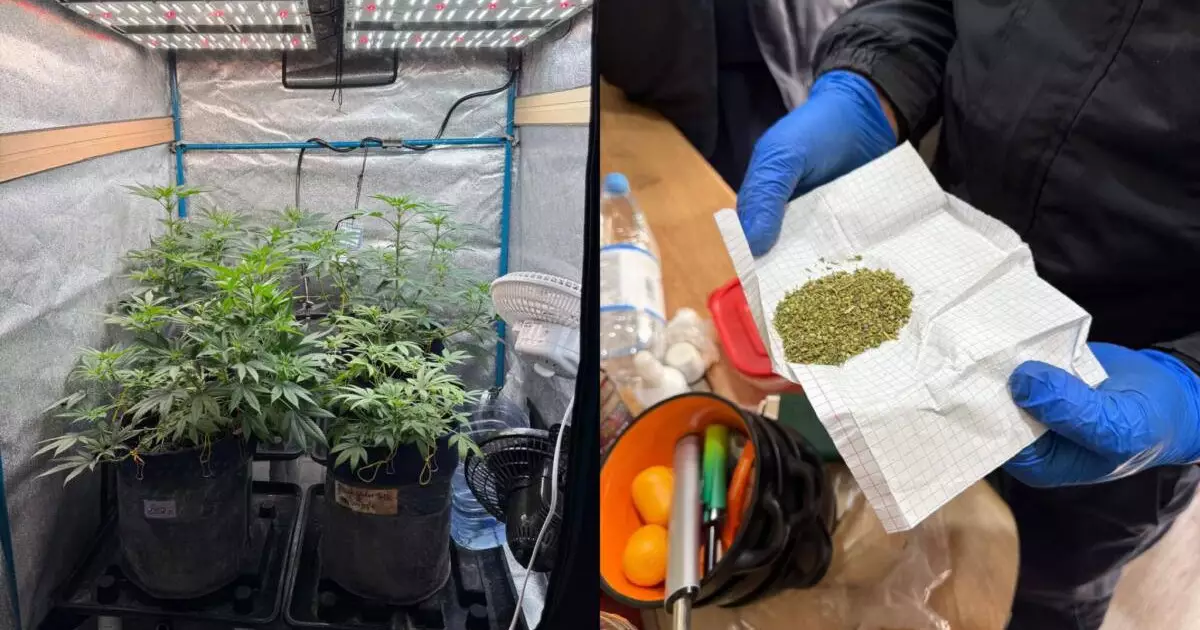  ШҚО-да заңсыз жұмыс істеген зертхананың қызметі тоқтатылды 