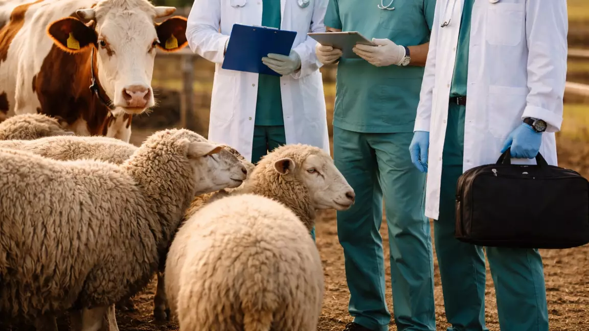 Батыс Қазақстанда мал ұрлаумен айналысқан қылмыстық топ ұсталды