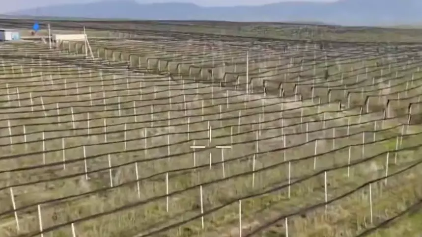 Жоқ бақтарға берілген субсидия: АФМ ірі жемқорлық схемасының бетін ашты