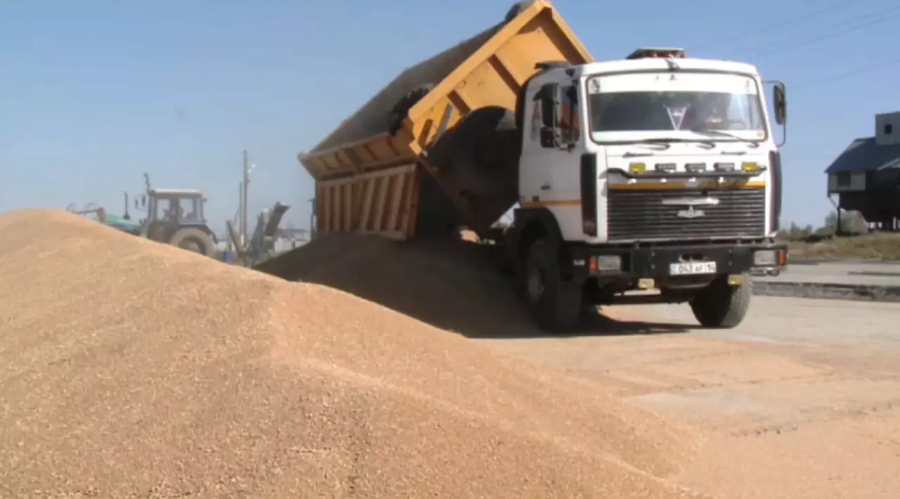 Казахстан вошёл в число мировых лидеров по площади сельхозугодий