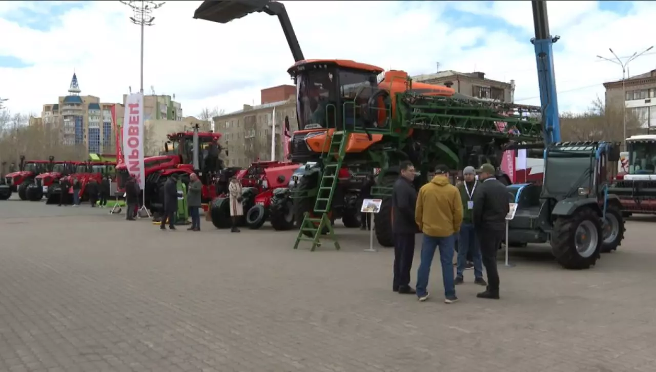 Ақмола облысында егістік алқап 65 мың гектарға ұлғаяды