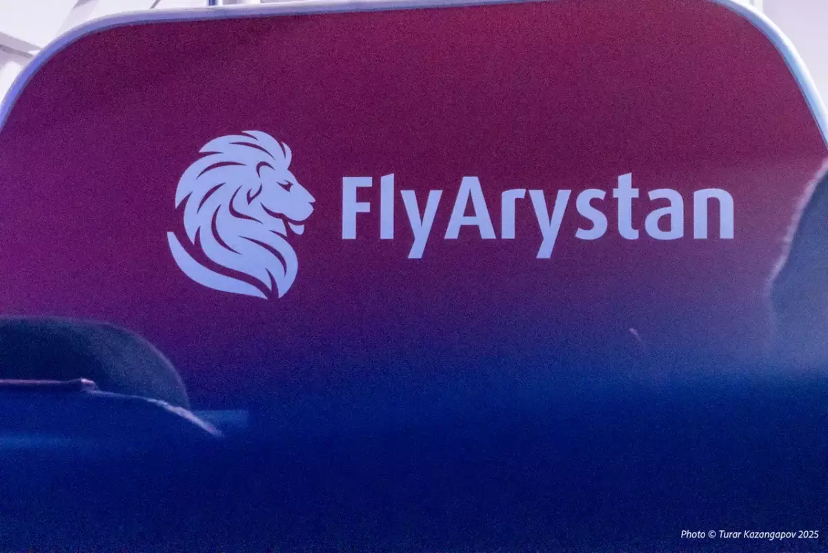 Самолет FlyArystan сбил собаку при посадке в Шымкенте