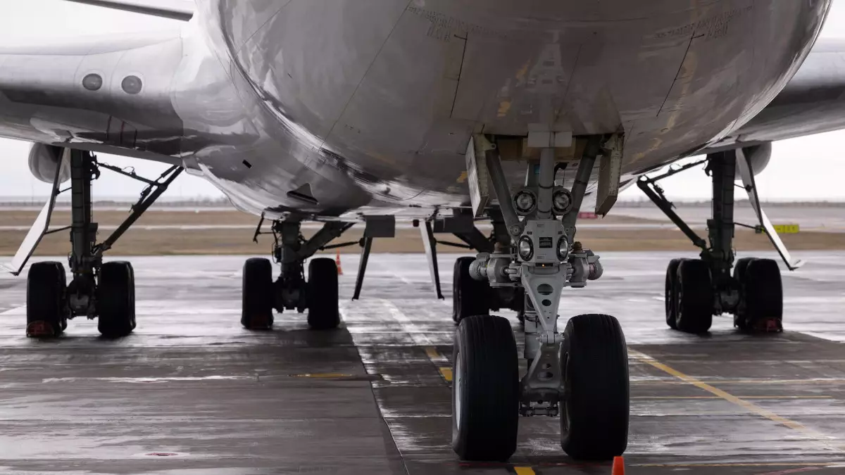 Самолет FlyArystan сбил собаку после приземления