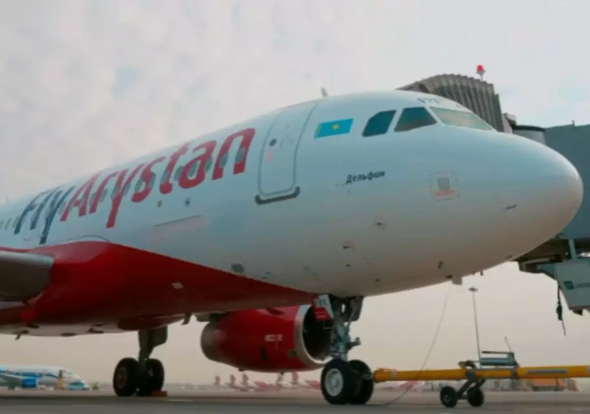 FlyArystan ұшағы итті қағып кетті