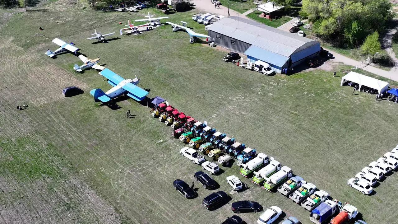 Шегірткеге қарсы науқан: Алматы облысында 1,8 млн гектар жер бақылауға алынады