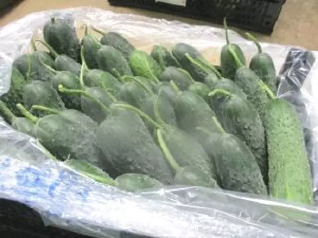 В Калининградскую область ввезено почти 25 тысяч тонн продукции из Белоруссии и Казахстана.