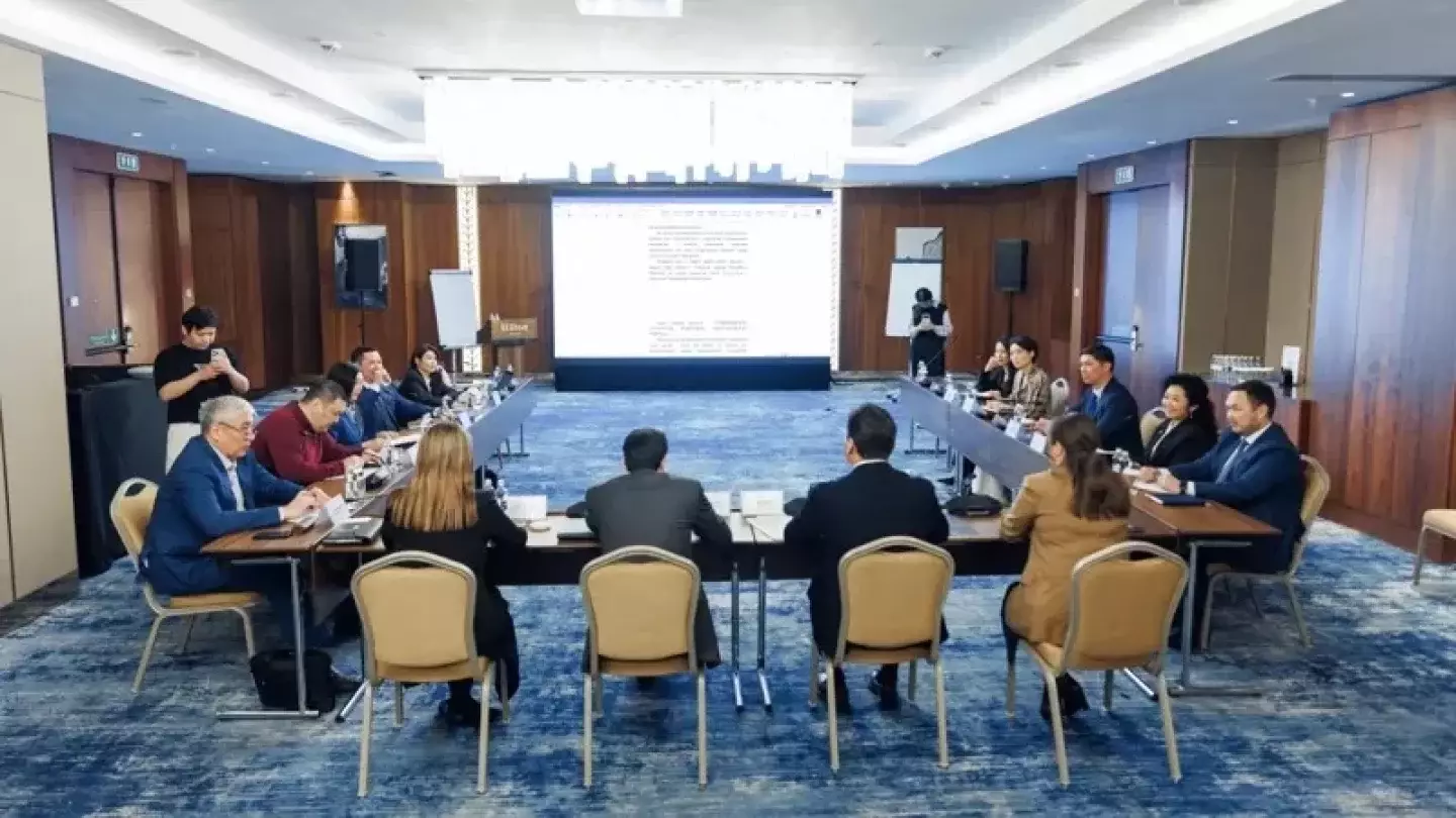 Елімізде тағы бір саяси партия құрылмақ