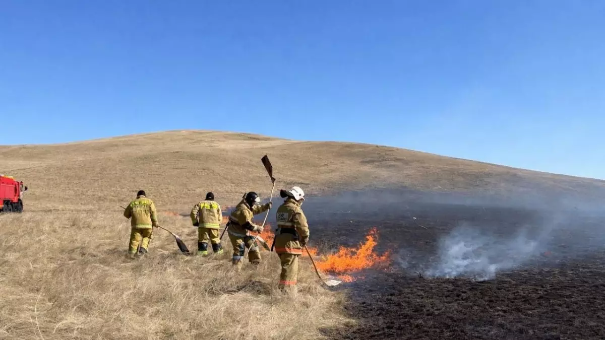 Сухая растительность загорелась в Акмолинской области
