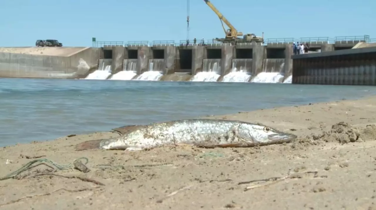Экосаммит определит климатическую повестку Центральной Азии