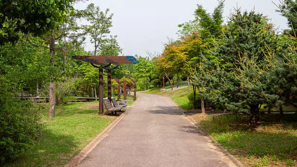 3 экопарка появятся в Восточном Казахстане