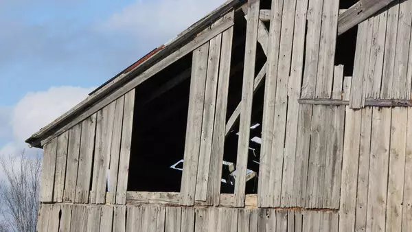 Найдены тела двух несовершеннолетних в Жамбылской области