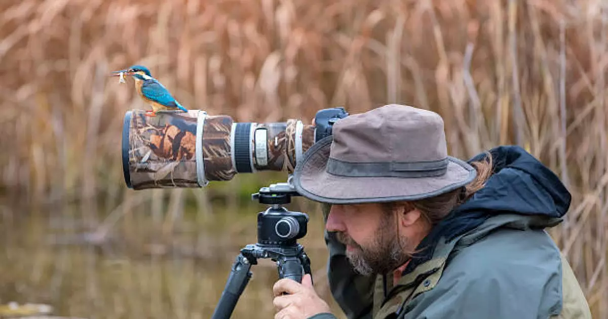  Қатонқарағай ұлттық паркінде жануарлар фототұзаққа түсіп қалды 