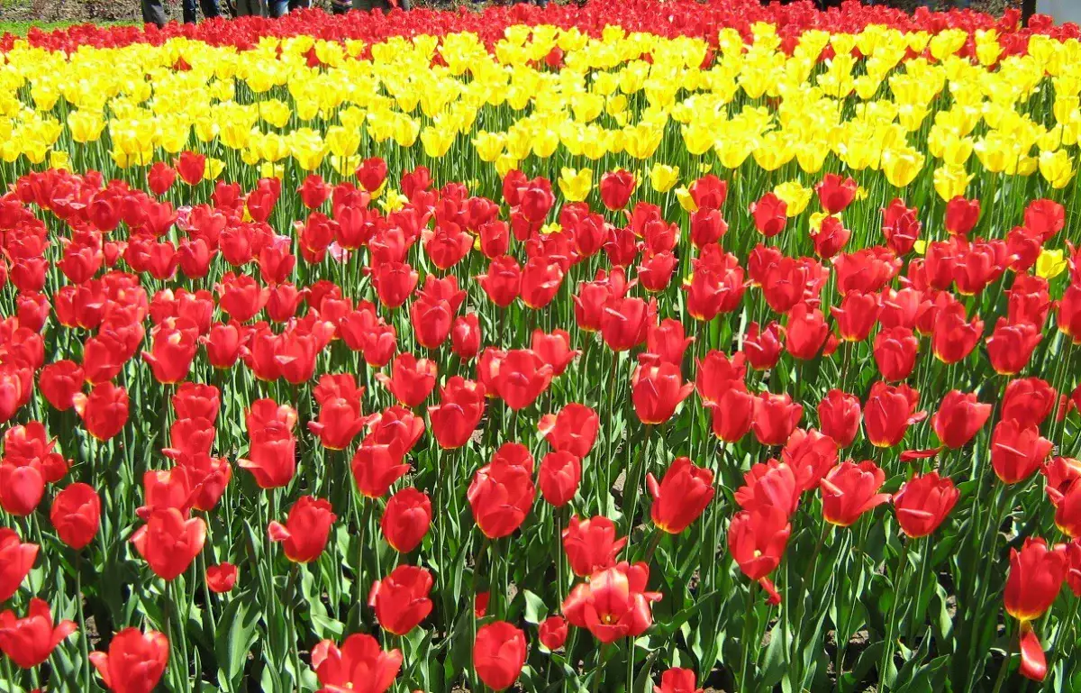 Алматыда 20-26  сәуір аралығында ауа райы қандай болады