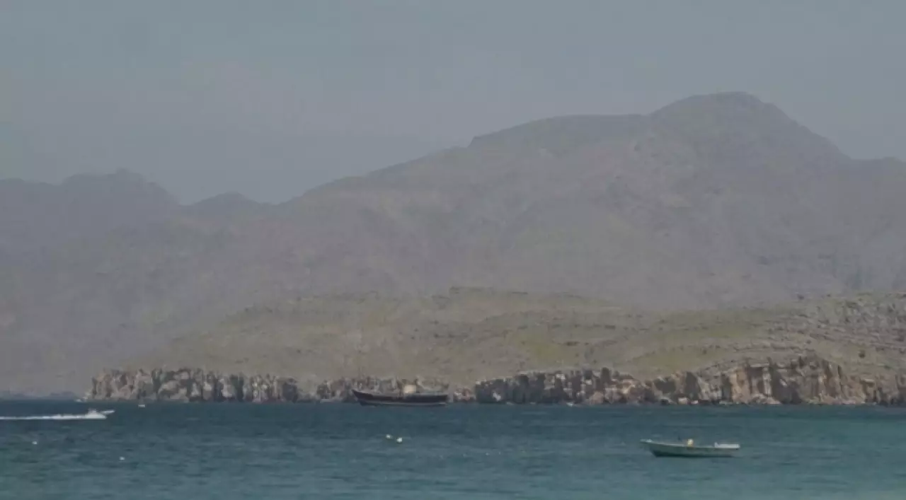 Германия готова участвовать в миссии в Ормузе