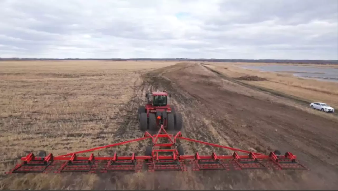 СҚО-да майлы дақылдар алқабы көбейеді