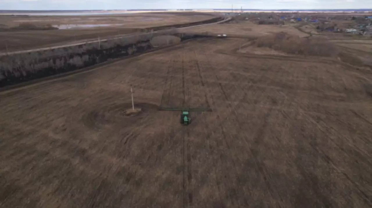 Посевы пшеницы сокращают в СКО