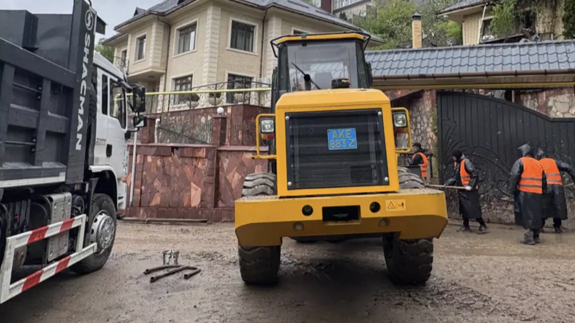 Алматыда лай көшкіні жүрді