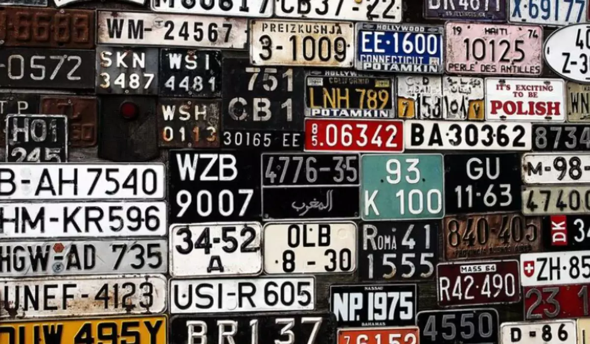 Қазақстандықтарға қытай нөмірлі көлікті кімдер жүргізе алатыны түсіндірілді