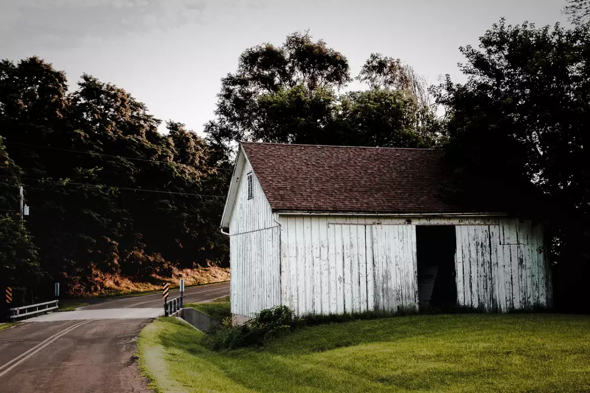 Трагедия в Жамбылской области: в сарае найдены тела двух подростков