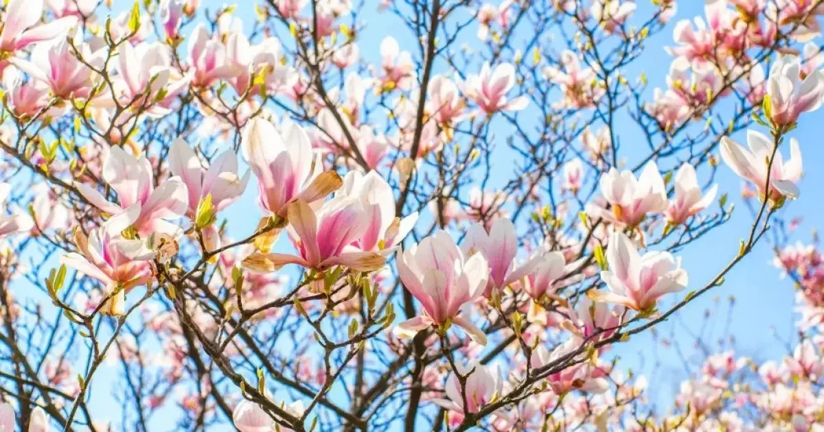  Қазақстанда алдағы үш күнде ауа райы 28 градусқа дейін жылынады 