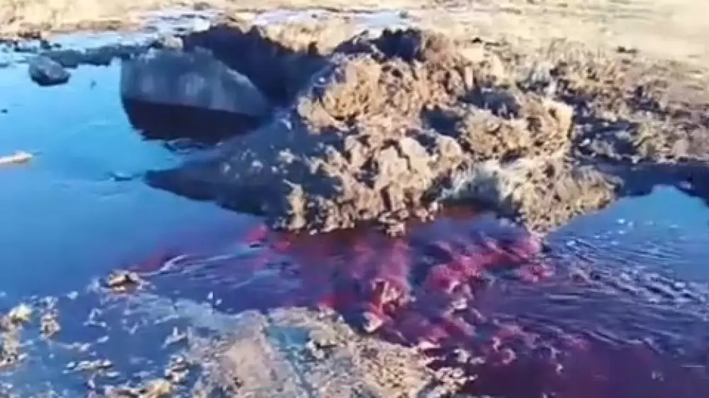 Колодец с кровью шокировал жителей Щучинска