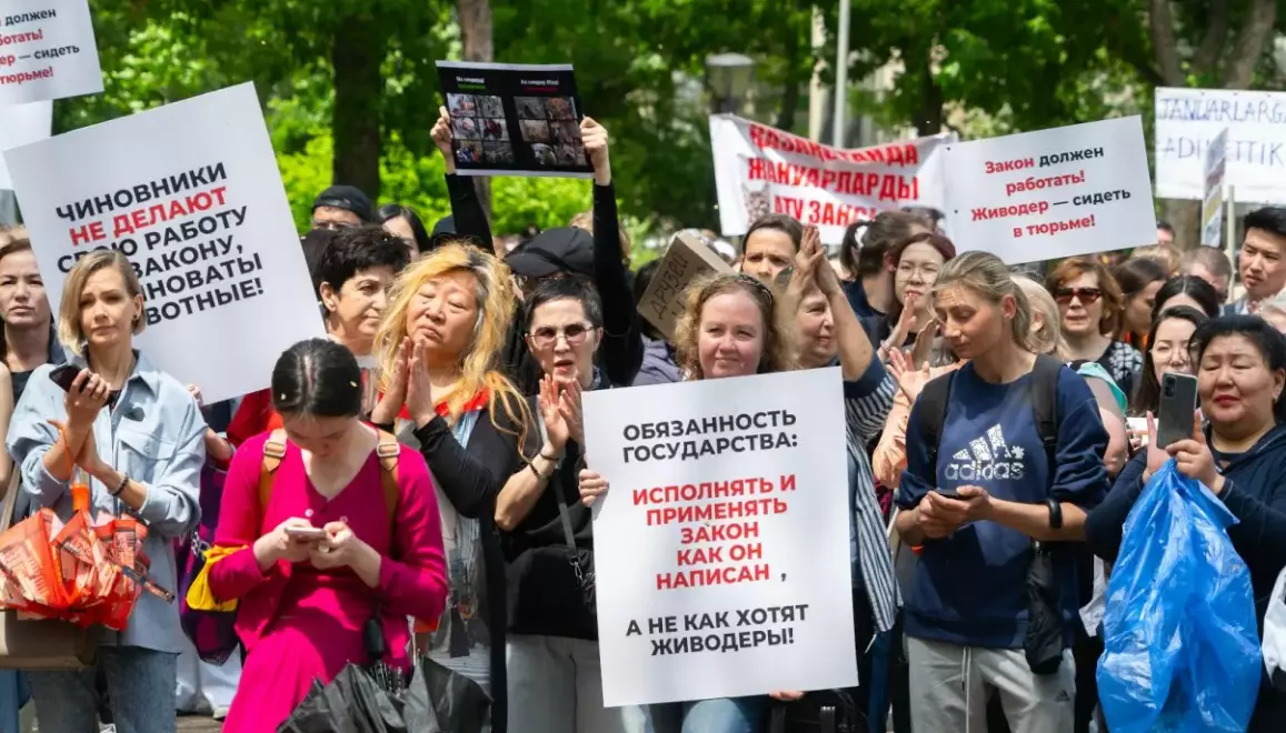 В Костанайской области согласовали митинг против поправок к закону о животных