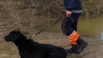 Ақтөбе облысында жоғалып кеткен 10 жасар баланың денесі табылды