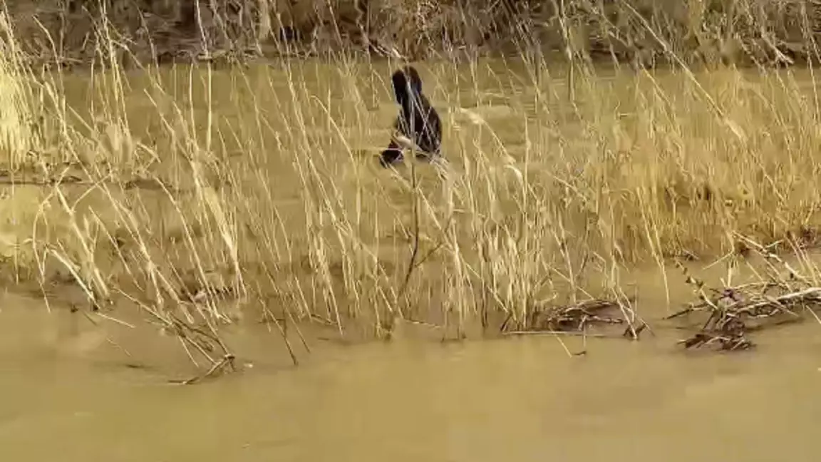 Ақтөбе облысында жоғалған 4-сынып оқушысы өлі табылды