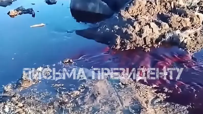 Щучинскідегі "қан аққан" құдық: Әкімдік күтпеген деректерді жариялады