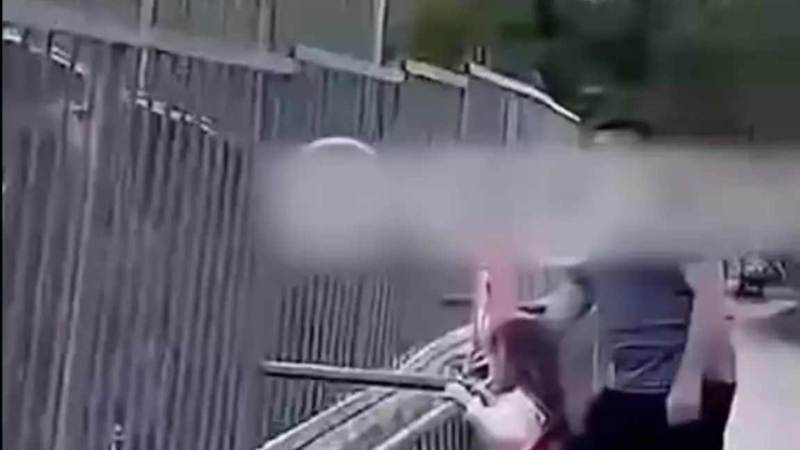 Алматы зообағында арыстанға тас атқан тұрғын жазаланды