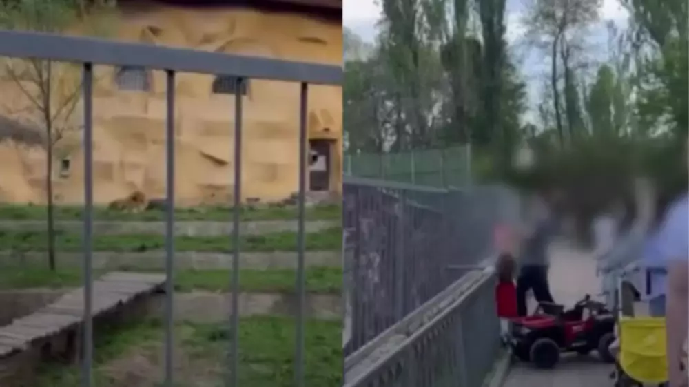 Алматинец заплатит за выходку в зоопарке