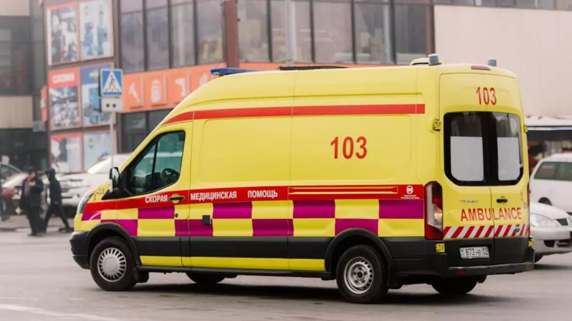 Көкшетауда жүкті әйелді қаңғыбас иттер қауып алды