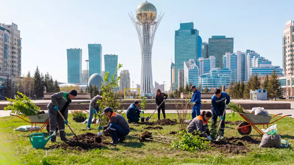 Какие районы Астаны в этом году засадят деревьями