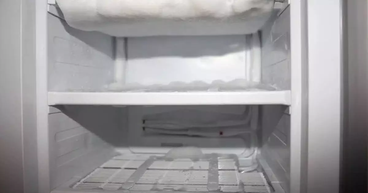  Баласы анасының зейнетақысын алу үшін жылдар бойы мәйітін мұздатқышта сақтаған 