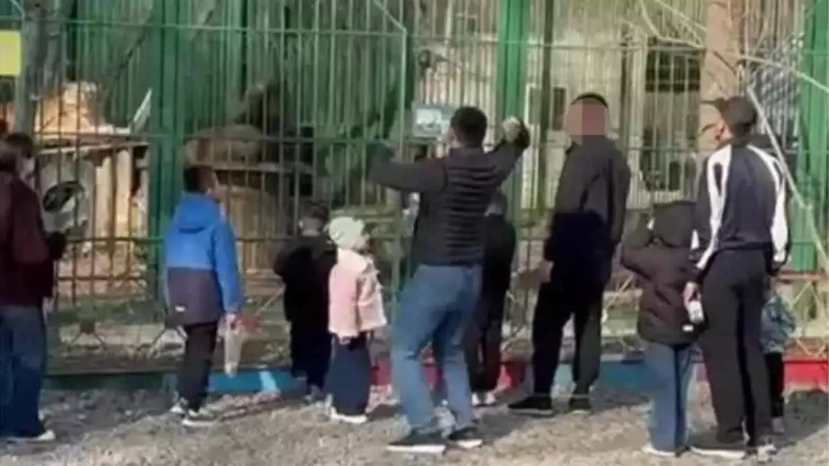 Арыстанға тас лақтырған алматылық айыппұл арқалады