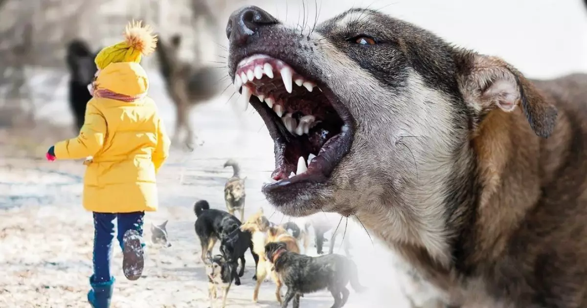   Қауып алатын қауіп   