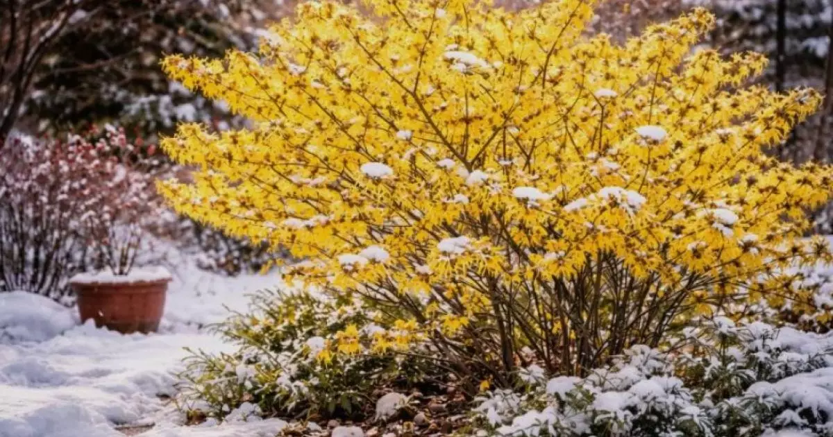  Погода в Казахстане 18 апреля: мороз, туман и шквальный ветер 