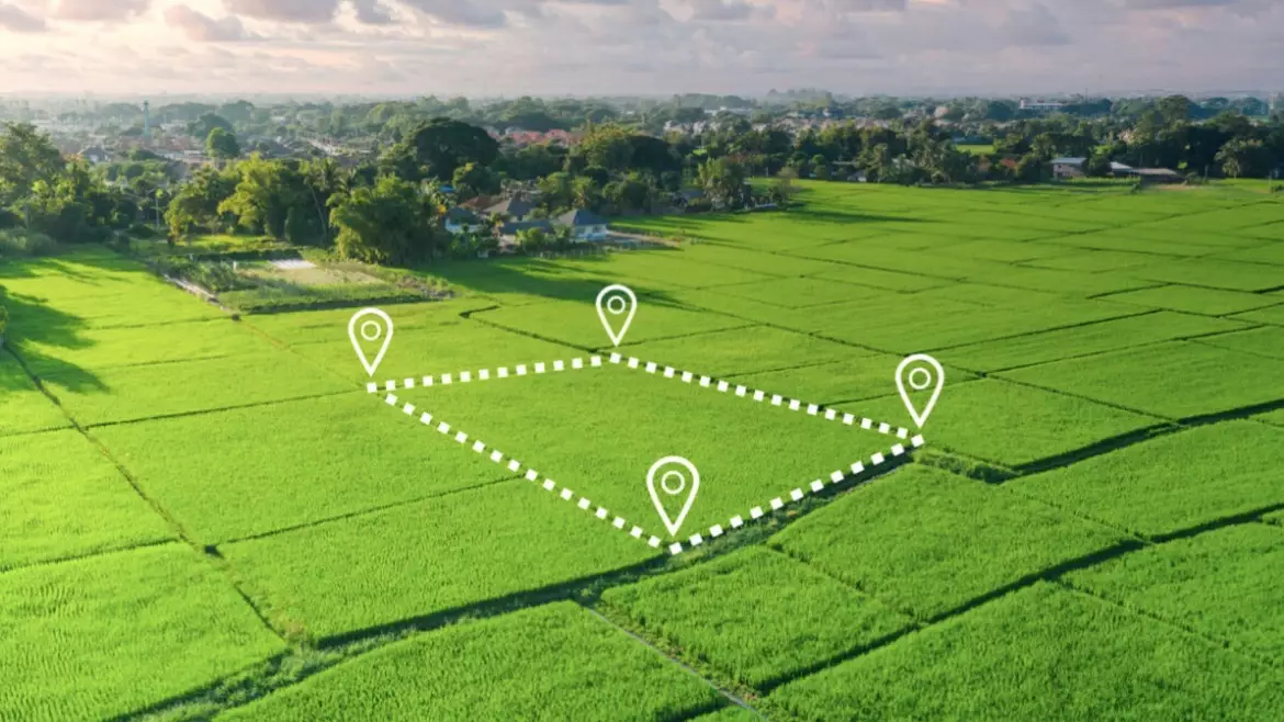 Қазақстанда 10 сотық жерді тегін алуға болады: не істеу керек