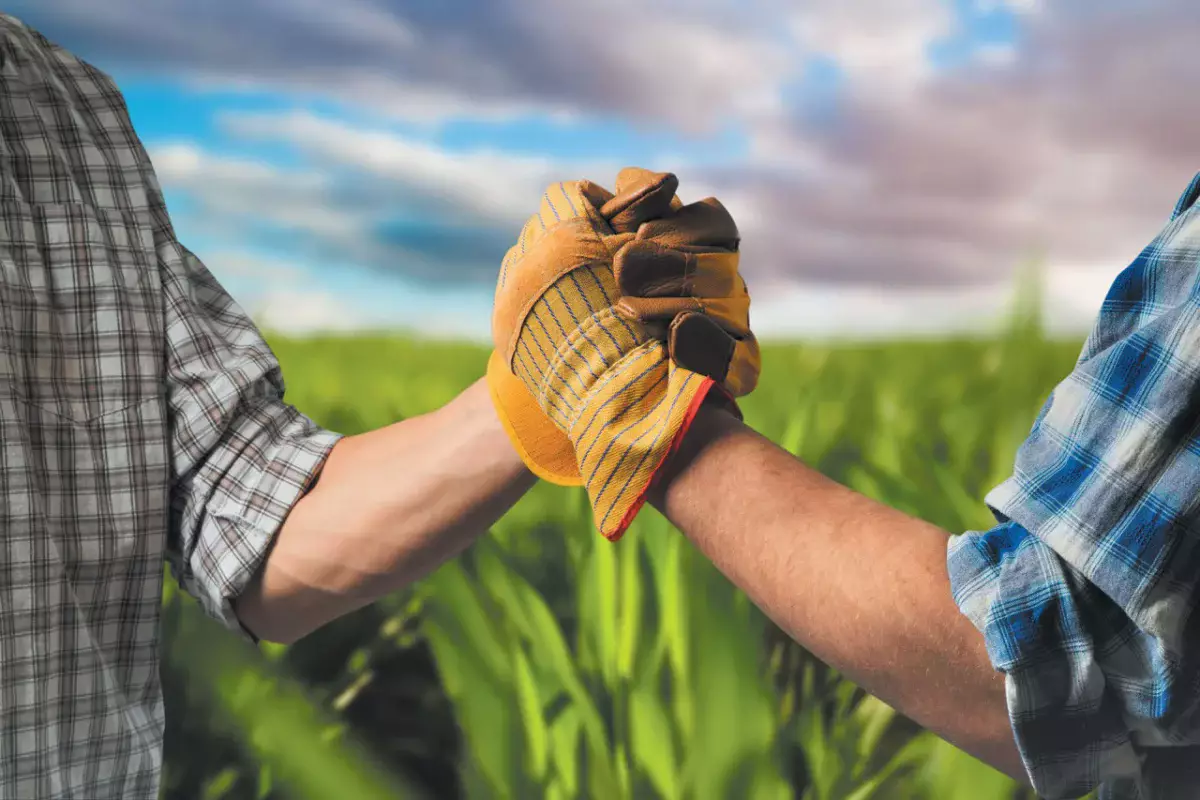 Қазақстанда ауыл шаруашылығы кооперациясы қалай ілгерілеп жатыр?