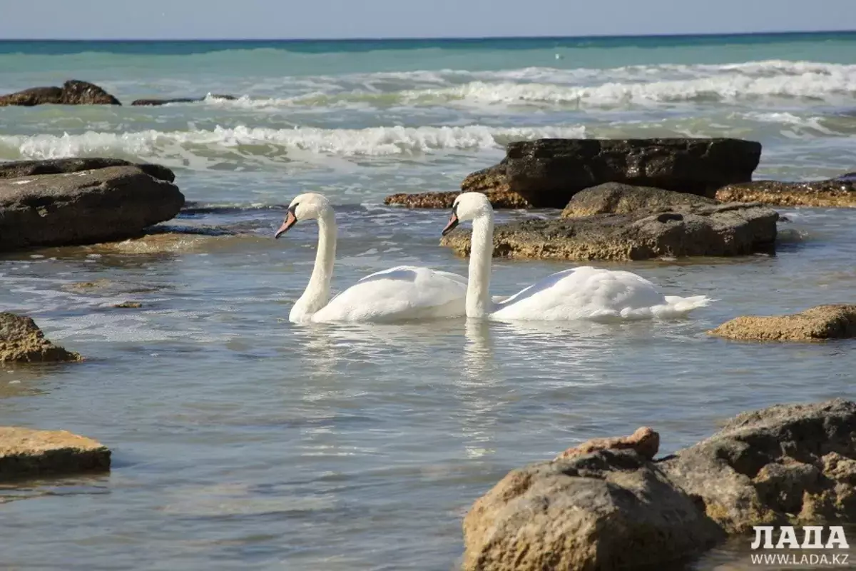 Стихия накрывает Казахстан: в 15 регионах объявили ухудшение погоды - новости на Lada.kz 18.04.2026