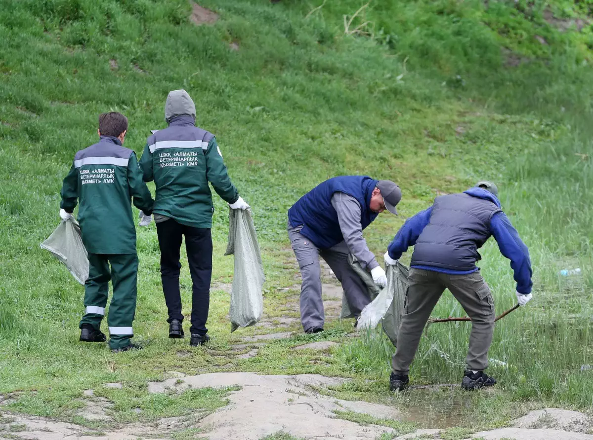 Алматыда 10 мыңға жуық тұрғын қатысқан жергілікті сенбіліктер өтті