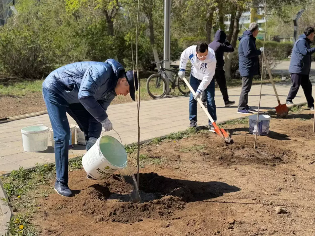 Ұлытауда бір күнде 5 мыңнан аса ағаш егілді