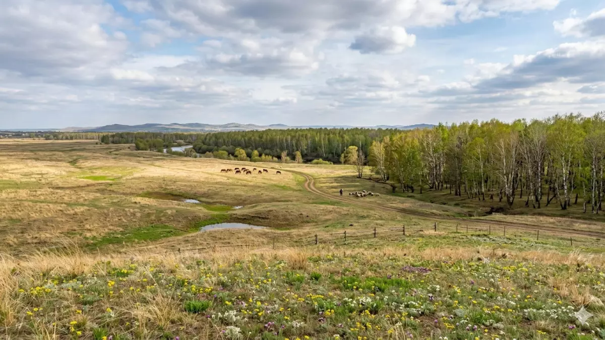 Кто имеет право на землю – как казахстанцам получить бесплатный участок