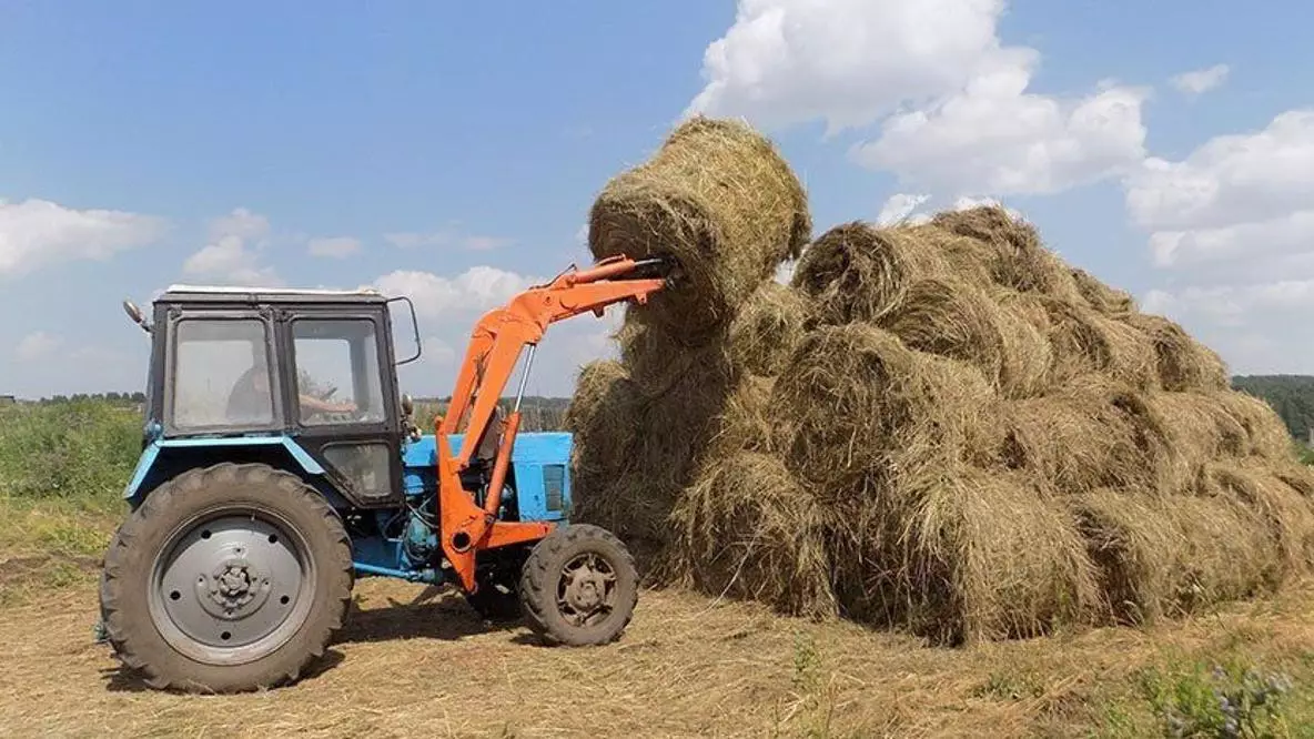 В Азербайджане 25-летний мужчина погиб во время сельхозработ