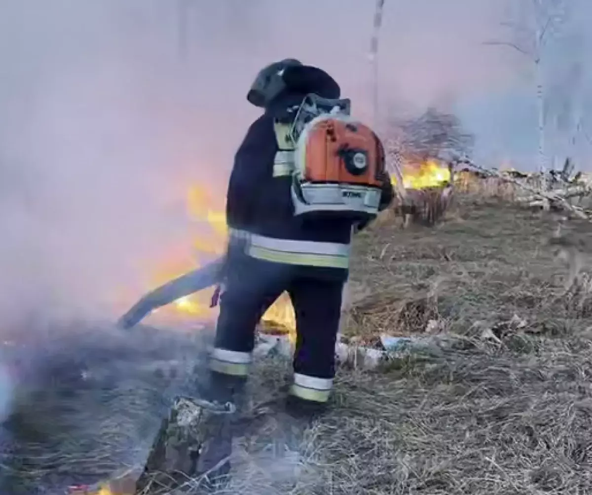 Природный пожар перекинулся на лес в СКО